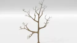 3d tree Free 3D model