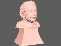 Albert Einstein 3d Printable Model  3D model