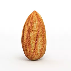 Almond 3D model