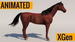 Animated Horse 3D model