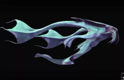 Aquatic Alien Free low-poly  3D model