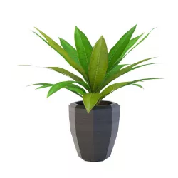 Artificial Plant  Free 3D model
