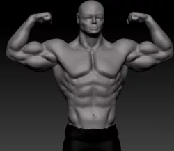 bodybuilder  Free 3D model