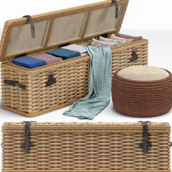 Brenna Leather Accent Woven Rattan Trunk 3D model