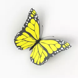 Butterfly 3D model