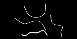 Cables untextured Free 3D model