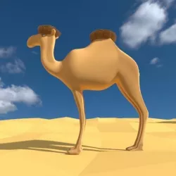 Camel 3D model