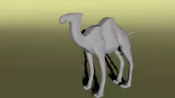 Camel Free 3D model