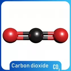 Carbon dioxide 3D Model CO2 Free 3D model