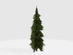 Cedar tree fan Free low-poly  3D model