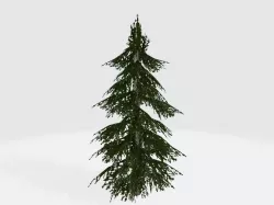 Cedar tree Free low-poly  3D model