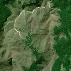 Cerro Pelon Free 3D model