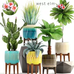 Collection of plants 3D model