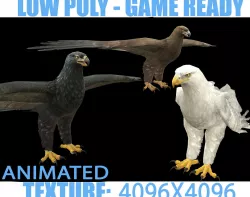 Eagle Animated Low-poly  3D model