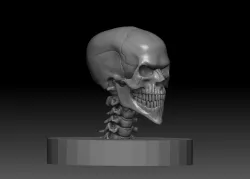 Evil Skull Free low-poly  3D model