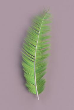 tail feather free pattern 3D Models | Page 1 | STLFinder