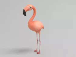 Flamingo 3D model