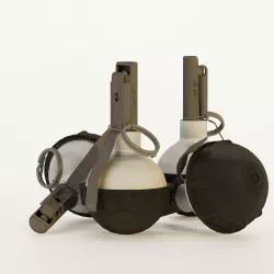 Flash-Bang Grenade Zaria Free low-poly  3D model