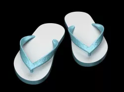 Flip flop havaianas 3D model