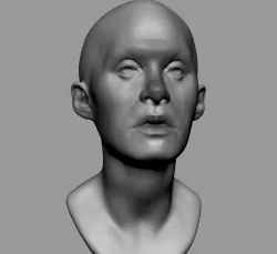 Free Base Female Head Free 3D model