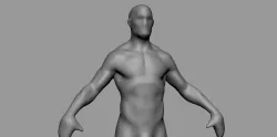 Free Base Male Anatomy Free 3D model