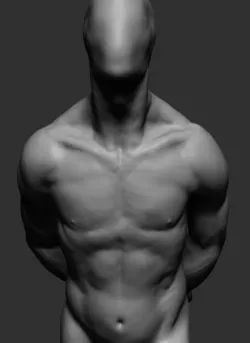 Free Male Anatomy Free 3D model