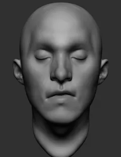 Free Male Head Free 3D model