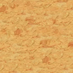 Fried Batter Texture Free 3D model