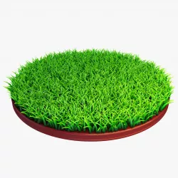 Grass VRayFur 3ds Max Free 3D model