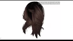 Hair Style Lowpoly Free Download Free low-poly  3D model