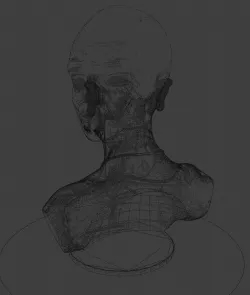 Head sculpture 01 Free 3D model
