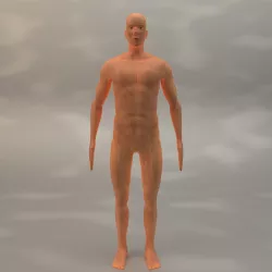 Human 3d model Free low-poly  3D model