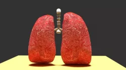 Human Lungs Free low-poly  3D model