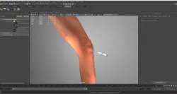 legs animation meniscus animation  3D model