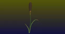 Low poly Swamp Weeds FREE Free low-poly  3D model