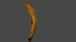 neolithic sickles Free 3D model