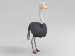 Ostrich 3D model