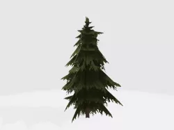 Pine tree fan Free 3D model