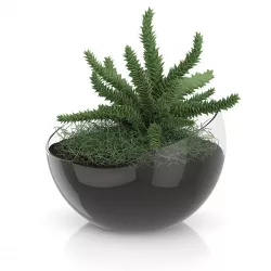 Plant in Sphere Glass Pot 3D model