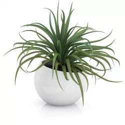 Plant in Sphere Pot 3D model
