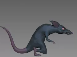 Rat model Free 3D model