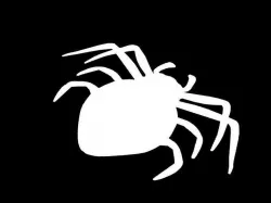 spider scan stl Free 3D model