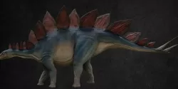 Stegosaurus Low-poly  3D model