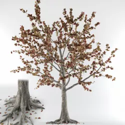 Tree-autumn Free 3D model