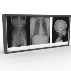 XRay Light Box 3D model
