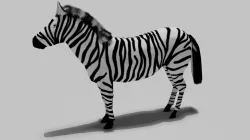 Zebra Free 3D model