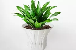 003d - Planter - Morph - Forest Pattern -  3D print model