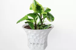 003d - Planter - Morph - Rock Pattern -  3D print model