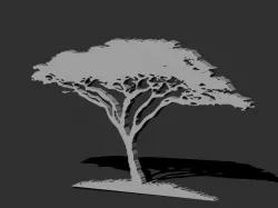 African Acacia Tree 3D print model