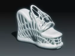 Alien Shoes 3D print model
